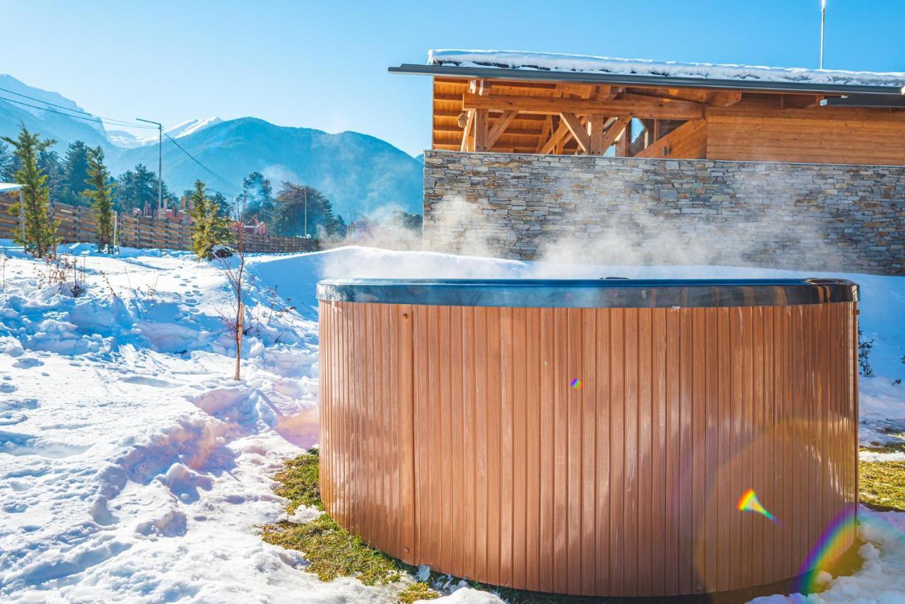 Vila Mountain Hawk Park Bansko Exteriér fotografie